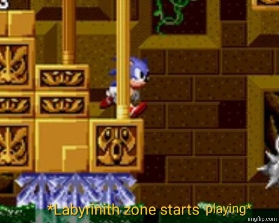 Labyrinith zone starts playing | image tagged in labyrinith zone starts playing | made w/ Imgflip meme maker