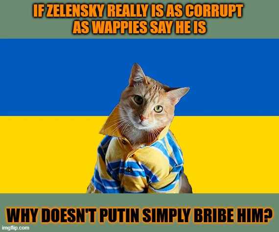 This #lolcat wonders if 'its leaders are corrupt!' is a good reason to murder a country's civilians | IF ZELENSKY REALLY IS AS CORRUPT 
AS WAPPIES SAY HE IS; WHY DOESN'T PUTIN SIMPLY BRIBE HIM? | image tagged in corruption,russo-ukrainian war,vladimir putin,zelensky,war,lolcat | made w/ Imgflip meme maker