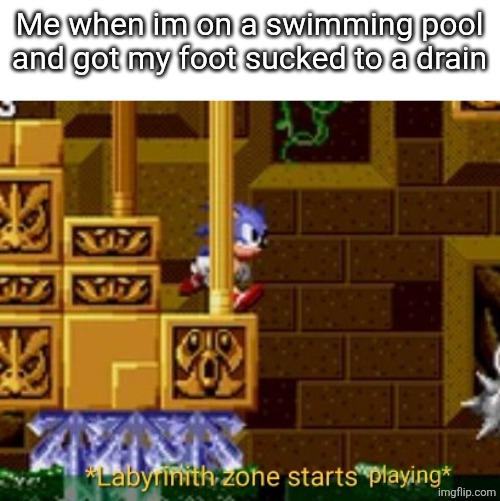 Labyrinith zone starts playing | Me when im on a swimming pool and got my foot sucked to a drain | image tagged in labyrinith zone starts playing | made w/ Imgflip meme maker