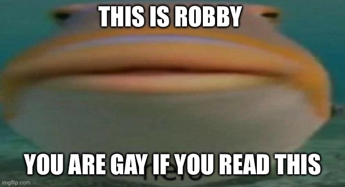 helo | THIS IS ROBBY; YOU ARE GAY IF YOU READ THIS | image tagged in helo | made w/ Imgflip meme maker