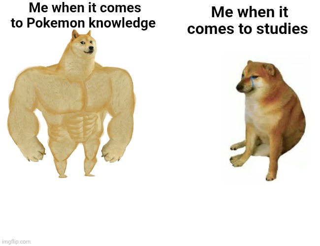 Pokemon meme | Me when it comes to Pokemon knowledge; Me when it comes to studies | image tagged in memes,buff doge vs cheems | made w/ Imgflip meme maker