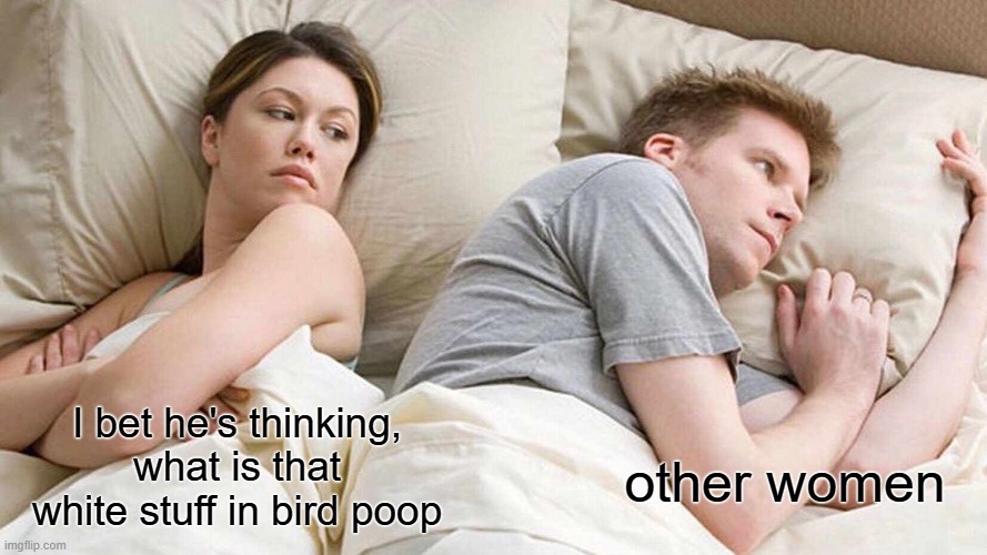 what is that white stuff in bird poop? | I bet he's thinking, what is that white stuff in bird poop; other women | image tagged in memes,i bet he's thinking about other women | made w/ Imgflip meme maker