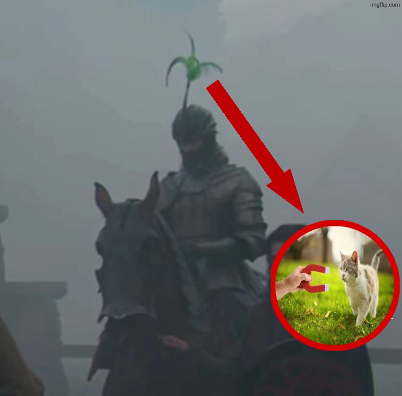 Daeron targaryen the cat magnet Blank Meme Template