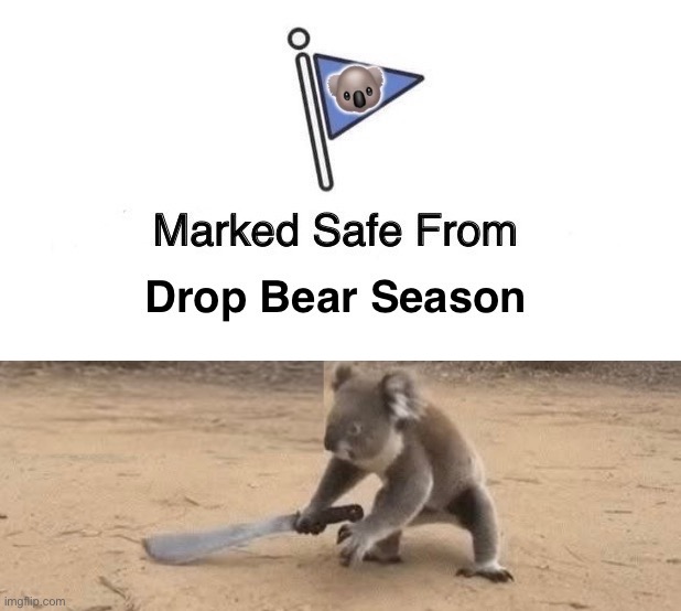 Marked Safe From Drop Bear Season | image tagged in drop bear,australia,summer,koala,dropbear | made w/ Imgflip meme maker