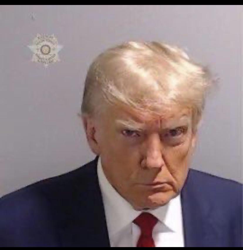 Trump mug shot Blank Meme Template