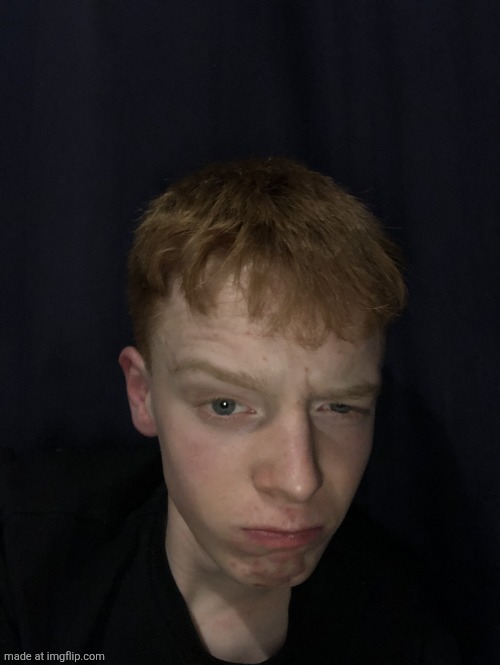 Really | image tagged in really | made w/ Imgflip meme maker