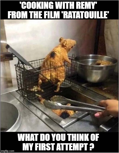 A Novelty Recipe Book | 'COOKING WITH REMY'
FROM THE FILM 'RATATOUILLE'; WHAT DO YOU THINK OF
MY FIRST ATTEMPT ? | image tagged in ratatouille,cooking,remy,recipe,deep fat fryer | made w/ Imgflip meme maker