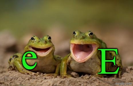 e E | e; E | image tagged in two happy frogs,memes,frog,green | made w/ Imgflip meme maker