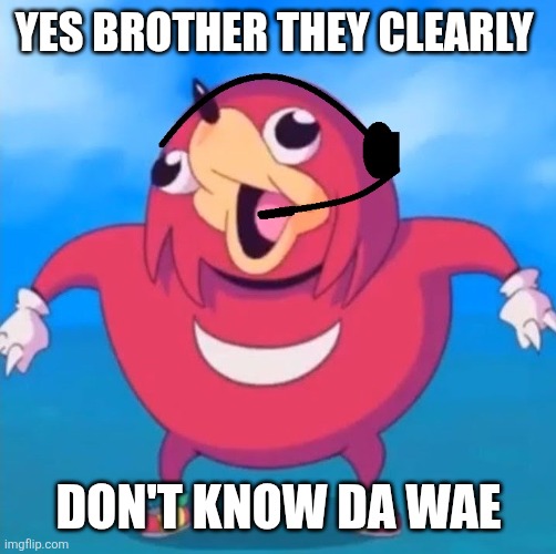 Help Desk Uganda Knuckles | YES BROTHER THEY CLEARLY DON'T KNOW DA WAE | image tagged in help desk uganda knuckles | made w/ Imgflip meme maker