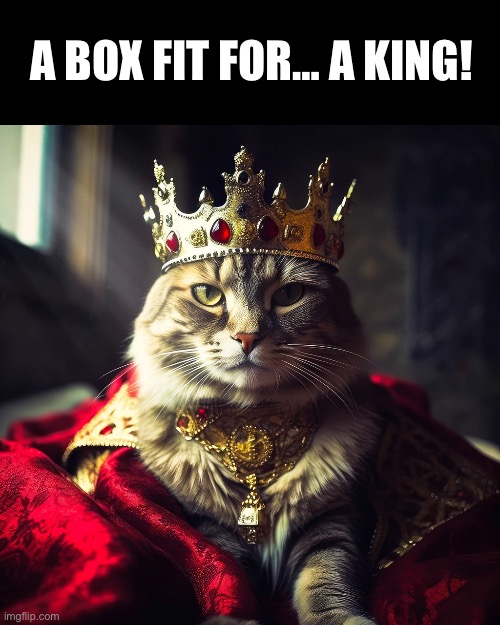 A BOX FIT FOR… A KING! | made w/ Imgflip meme maker