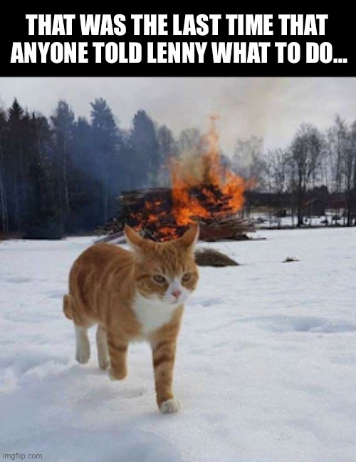 No one was home at the time… | THAT WAS THE LAST TIME THAT 
ANYONE TOLD LENNY WHAT TO DO… | image tagged in cats,burning,house,the last time,dont tell me what to do | made w/ Imgflip meme maker