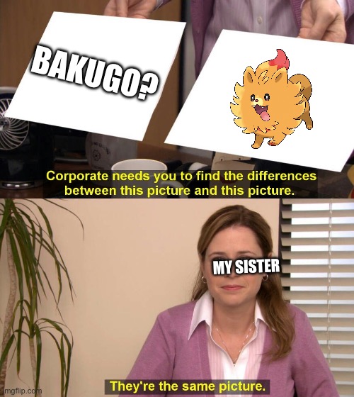 Idk who this is but my sister said to post it and people would get it. (I’m so confused what a Bakugo is but im trusting my sis) | BAKUGO? MY SISTER | image tagged in they are the same picture | made w/ Imgflip meme maker