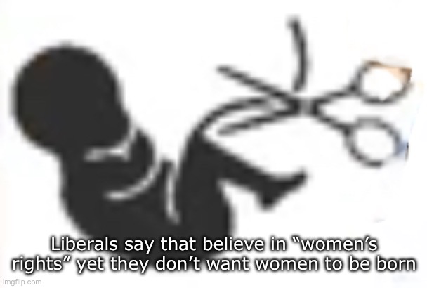 If you think women have rights, then allow them to be born. | Liberals say that believe in “women’s rights” yet they don’t want women to be born | image tagged in abortion is a moral atrocity,abortion,womens rights,liberals | made w/ Imgflip meme maker