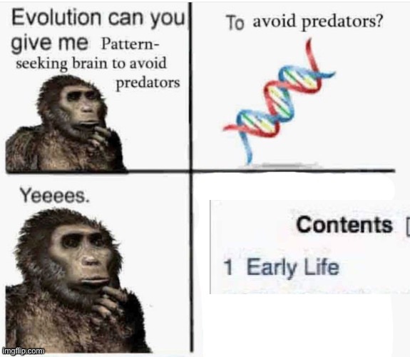 Evolution can you give me pattern seeking brain to avoid predato | image tagged in evolution can you give me pattern seeking brain to avoid predato | made w/ Imgflip meme maker
