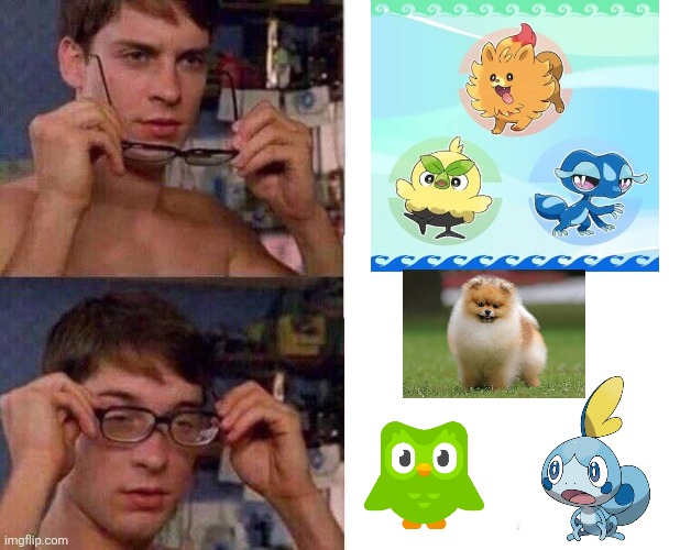 Pov gen 10 starters | image tagged in spiderman glasses,pokemon,generation 10 | made w/ Imgflip meme maker