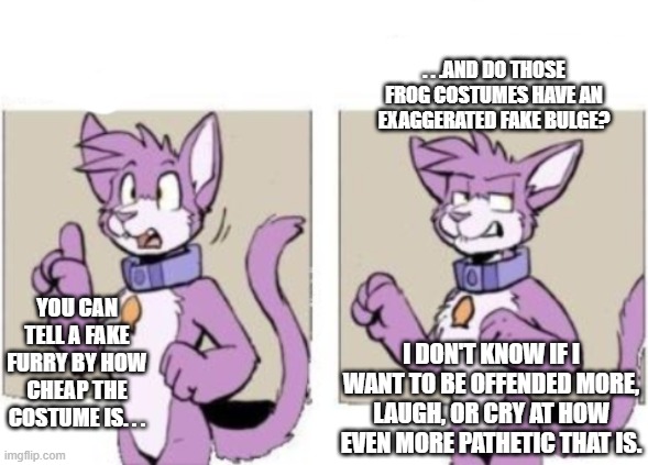 Furry hold on | YOU CAN TELL A FAKE FURRY BY HOW CHEAP THE COSTUME IS. . . . . .AND DO THOSE FROG COSTUMES HAVE AN EXAGGERATED FAKE BULGE? I DON'T KNOW IF I | image tagged in furry hold on | made w/ Imgflip meme maker