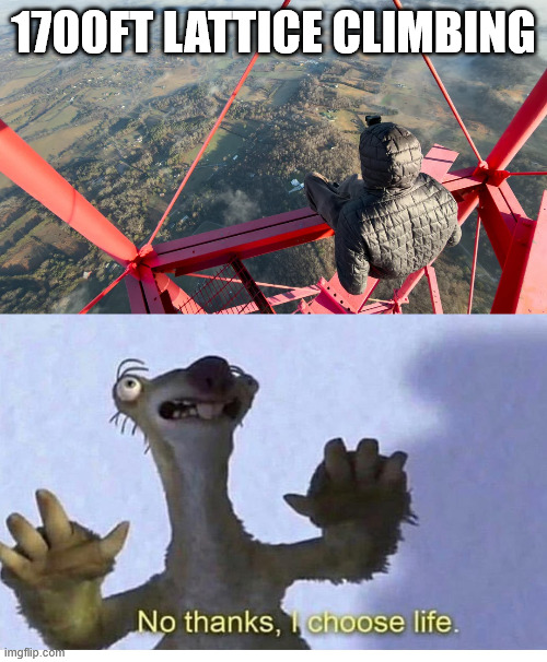 No thanks, I choose life | 1700FT LATTICE CLIMBING | image tagged in ice age,sid,memes,lattice climbing,climbing memes,ice age memes | made w/ Imgflip meme maker