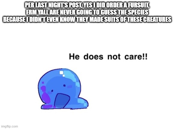 buh | PER LAST NIGHT'S POST, YES I DID ORDER A FURSUIT, ERM YALL ARE NEVER GOING TO GUESS THE SPECIES BECAUSE I DIDN'T EVEN KNOW THEY MADE SUITS OF THESE CREATURES | image tagged in he does not care | made w/ Imgflip meme maker