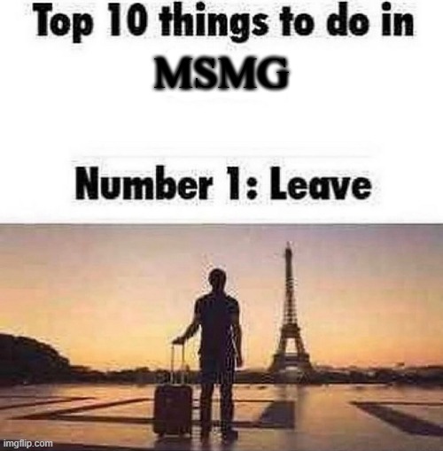 Leev | MSMG | image tagged in top 10 things to do in blank | made w/ Imgflip meme maker