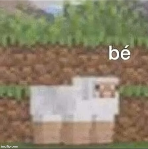 my French sheep | image tagged in french,minecraft,sheep | made w/ Imgflip meme maker