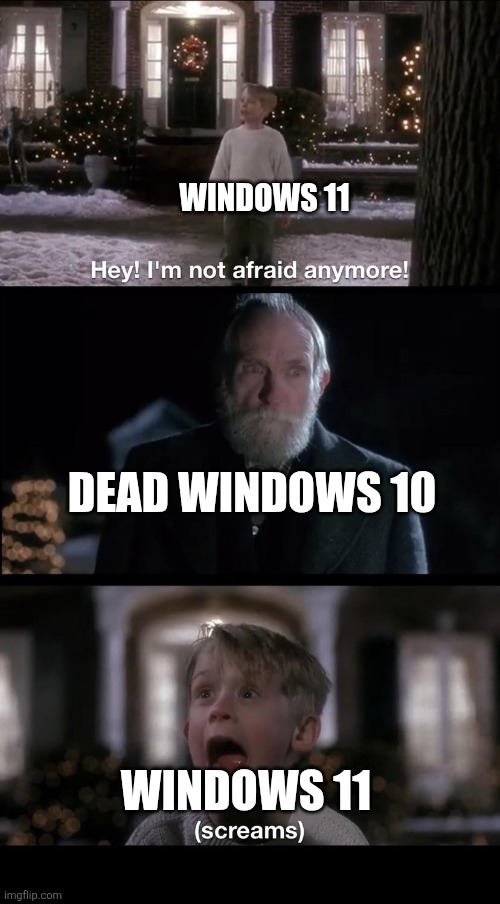Still better | WINDOWS 11; DEAD WINDOWS 10; WINDOWS 11 | image tagged in im not afraid anymore,windows 10 | made w/ Imgflip meme maker