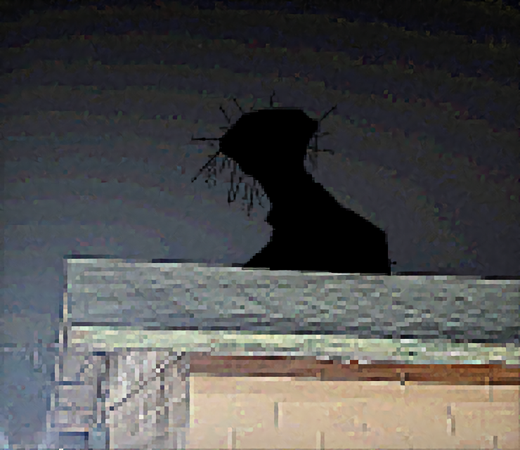 I found the boiled one IRL Blank Meme Template