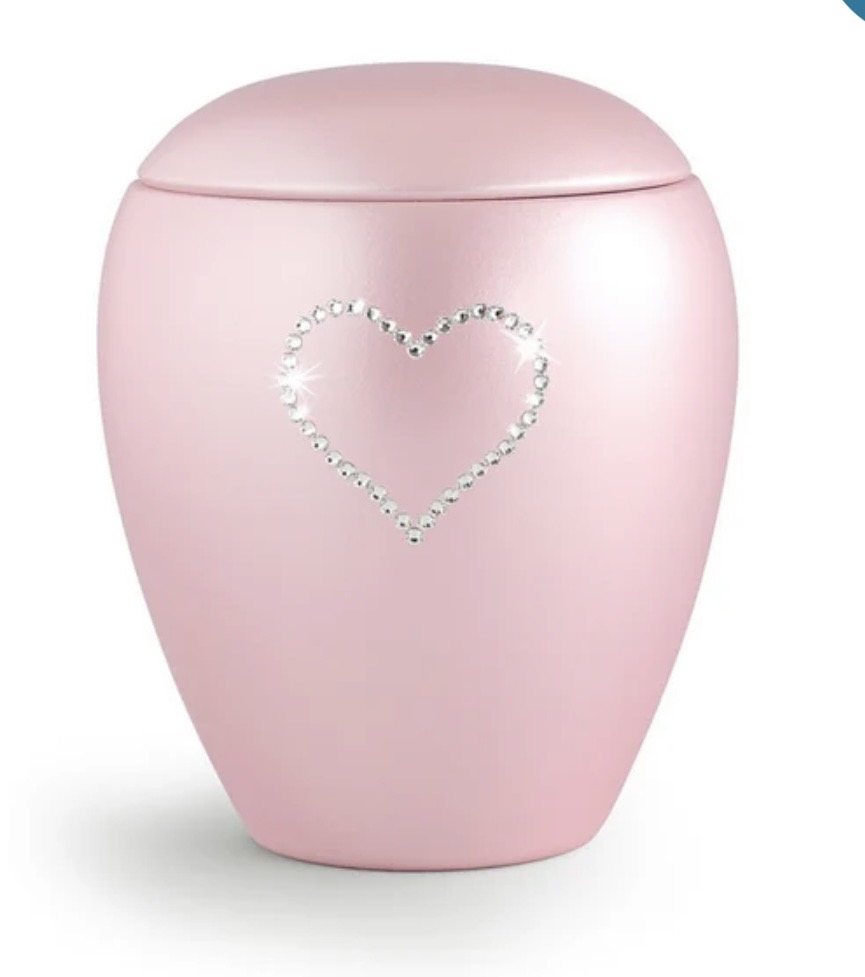 Chicken Blank Meme Template