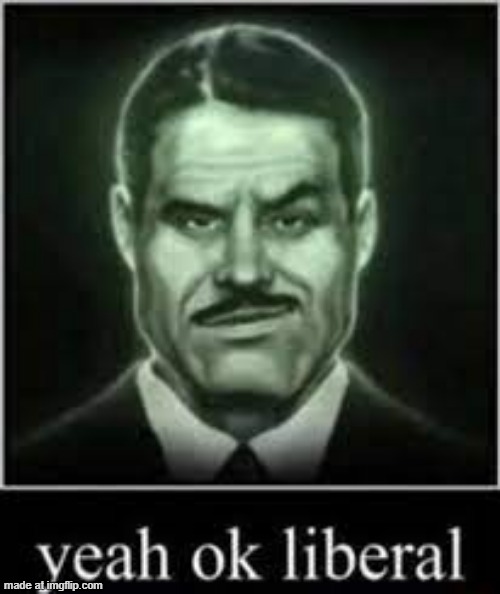 Yeah ok liberal | image tagged in yeah ok liberal | made w/ Imgflip meme maker