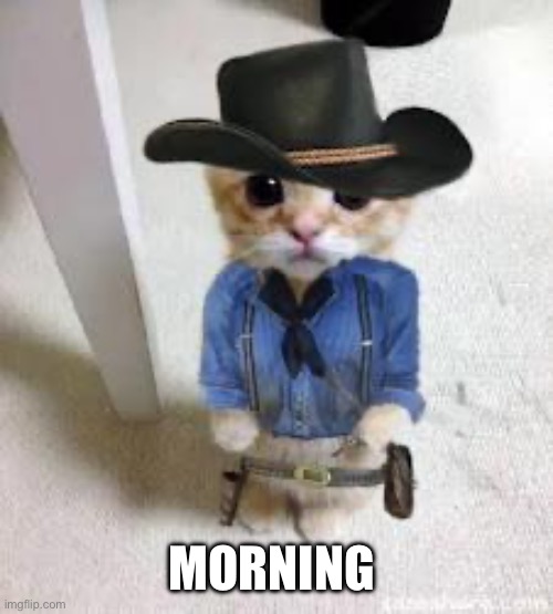 kitten Arthur Morgan | MORNING | image tagged in kitten arthur morgan | made w/ Imgflip meme maker