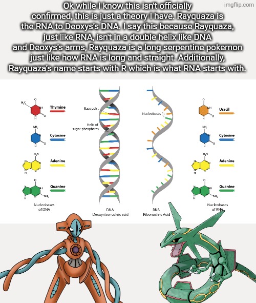 Pokemon theory. | Ok while I know this isn't officially confirmed, this is just a theory I have. Rayquaza is the RNA to Deoxys's DNA. I say this because Rayquaza, just like RNA, isn't in a double helix like DNA and Deoxys's arms, Rayquaza is a long serpentine pokemon just like how RNA is long and straight. Additionally, Rayquaza's name starts with R which is what RNA starts with. | image tagged in pokemon | made w/ Imgflip meme maker