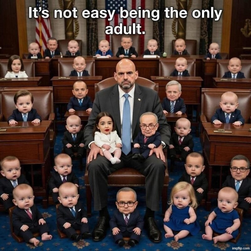 It's not easy being the only adult in the democratic party. | image tagged in democratic party,democratic socialism,crying democrats,john fetterman,babysitter,stupid liberals | made w/ Imgflip meme maker