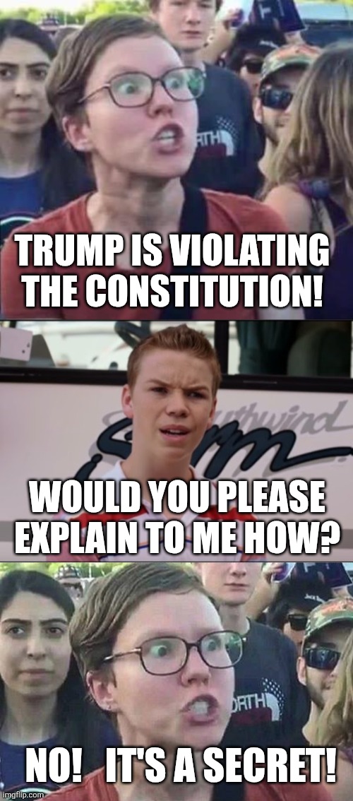 TRUMP IS VIOLATING THE CONSTITUTION! WOULD YOU PLEASE EXPLAIN TO ME HOW? NO!   IT'S A SECRET! | image tagged in angry liberal,you're getting paid,triggered liberal | made w/ Imgflip meme maker