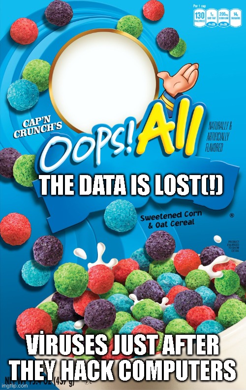 On second thought, maybe this ain't what really goes in here | THE DATA IS LOST(!); VİRUSES JUST AFTER THEY HACK COMPUTERS | image tagged in oops all berries | made w/ Imgflip meme maker