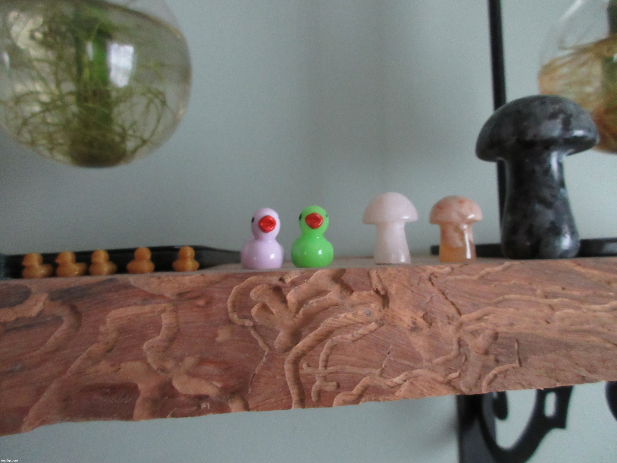 also this shelf on my room reserved for tiny ducks and mushrooms, ignoring the plants | made w/ Imgflip meme maker