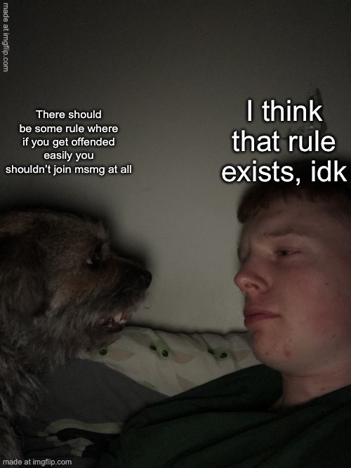 Dog talk but fixed | I think that rule exists, idk; There should be some rule where if you get offended easily you shouldn’t join msmg at all | image tagged in dog talk but fixed | made w/ Imgflip meme maker
