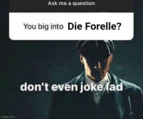 Alright im done | Die Forelle? | image tagged in you big into x | made w/ Imgflip meme maker