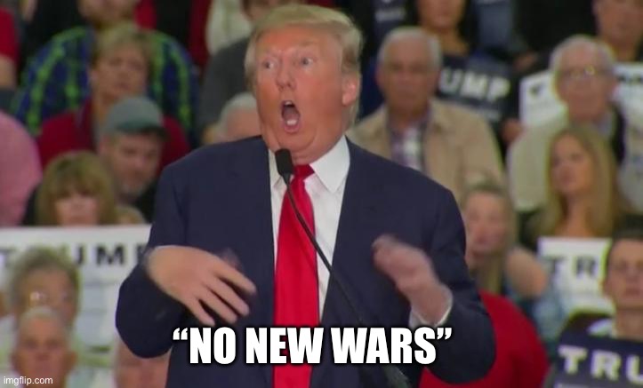 Bush wars | “NO NEW WARS” | image tagged in donald trump mocking disabled | made w/ Imgflip meme maker