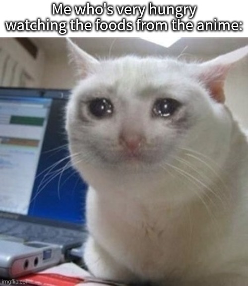 Do not watch the anime Shokugeki no soma with empty stomach. | Me who's very hungry watching the foods from the anime: | image tagged in crying cat,food,hungry | made w/ Imgflip meme maker