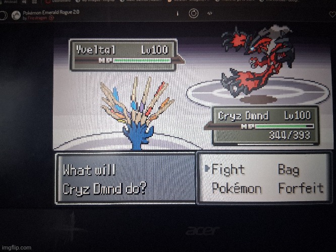 Champion battle on my emerald rogue run | made w/ Imgflip meme maker