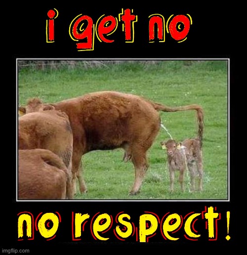 The Wrong Kind of Attention from Mom | image tagged in vince vance,calf,cows,bull,pee,no respect | made w/ Imgflip meme maker