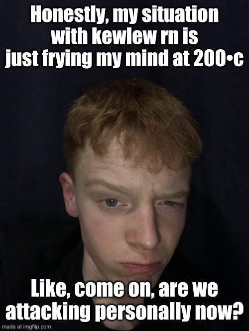 Really | Honestly, my situation with kewlew rn is just frying my mind at 200•c; Like, come on, are we attacking personally now? | image tagged in really | made w/ Imgflip meme maker