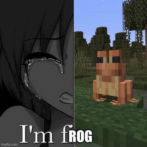I'm fi | ROG | image tagged in i'm fi | made w/ Imgflip meme maker