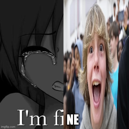 I'm fi | NE | image tagged in i'm fi | made w/ Imgflip meme maker