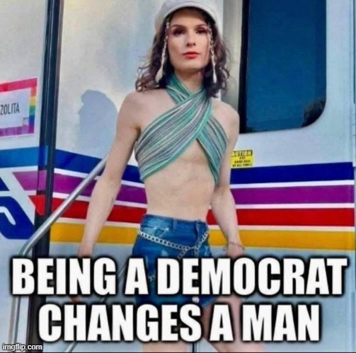 Democrat Endorsed | image tagged in identity,reality,pretend,i believe i can fly,confusion,mental health | made w/ Imgflip meme maker