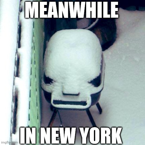 Meanwhile In New York | MEANWHILE; IN NEW YORK | image tagged in chrisjoines1 | made w/ Imgflip meme maker