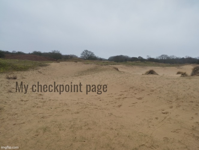 My checkpoint page | My checkpoint page | made w/ Imgflip meme maker