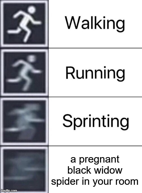 Walking, Running, Sprinting | a pregnant black widow spider in your room | image tagged in walking running sprinting | made w/ Imgflip meme maker