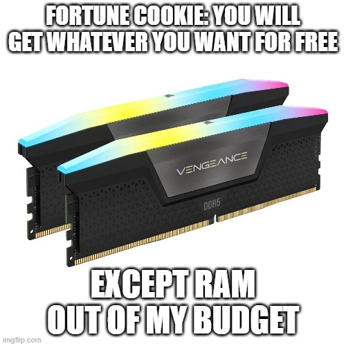 when you want ram but it to expensive | FORTUNE COOKIE: YOU WILL GET WHATEVER YOU WANT FOR FREE; EXCEPT RAM OUT OF MY BUDGET | image tagged in pc gaming,pc,fortune cookie,free | made w/ Imgflip meme maker