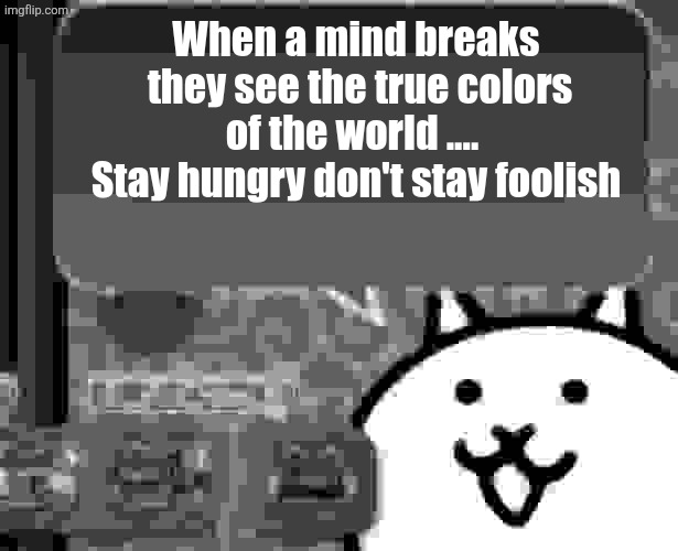 The basic cat says something | When a mind breaks  they see the true colors of the world .... 
Stay hungry don't stay foolish | image tagged in the basic cat says something | made w/ Imgflip meme maker