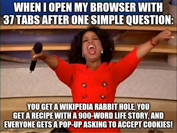 ai | WHEN I OPEN MY BROWSER WITH 37 TABS AFTER ONE SIMPLE QUESTION:; YOU GET A WIKIPEDIA RABBIT HOLE, YOU GET A RECIPE WITH A 900-WORD LIFE STORY, AND EVERYONE GETS A POP-UP ASKING TO ACCEPT COOKIES! | image tagged in memes,oprah you get a | made w/ Imgflip meme maker
